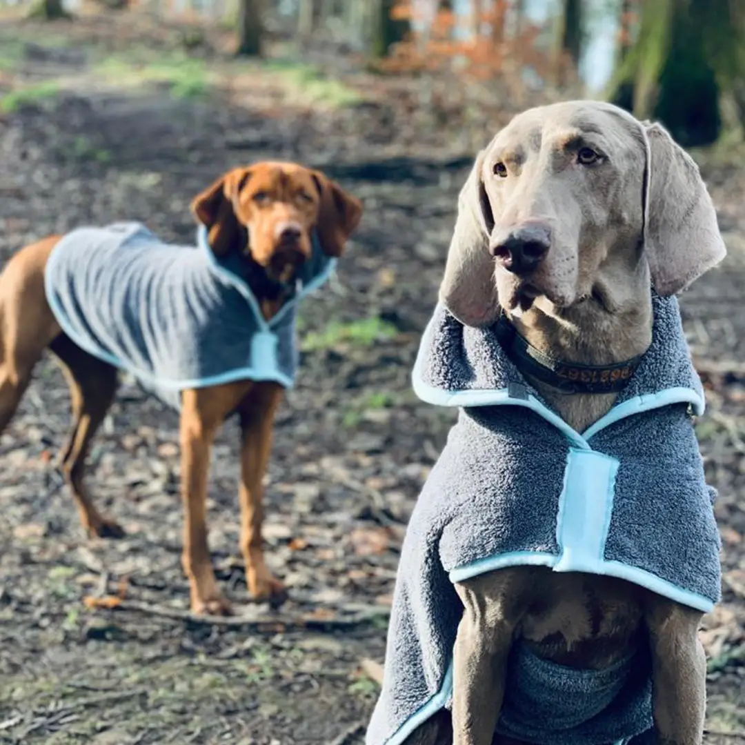 Henry Wag Microfibre Drying Coats - Image 2