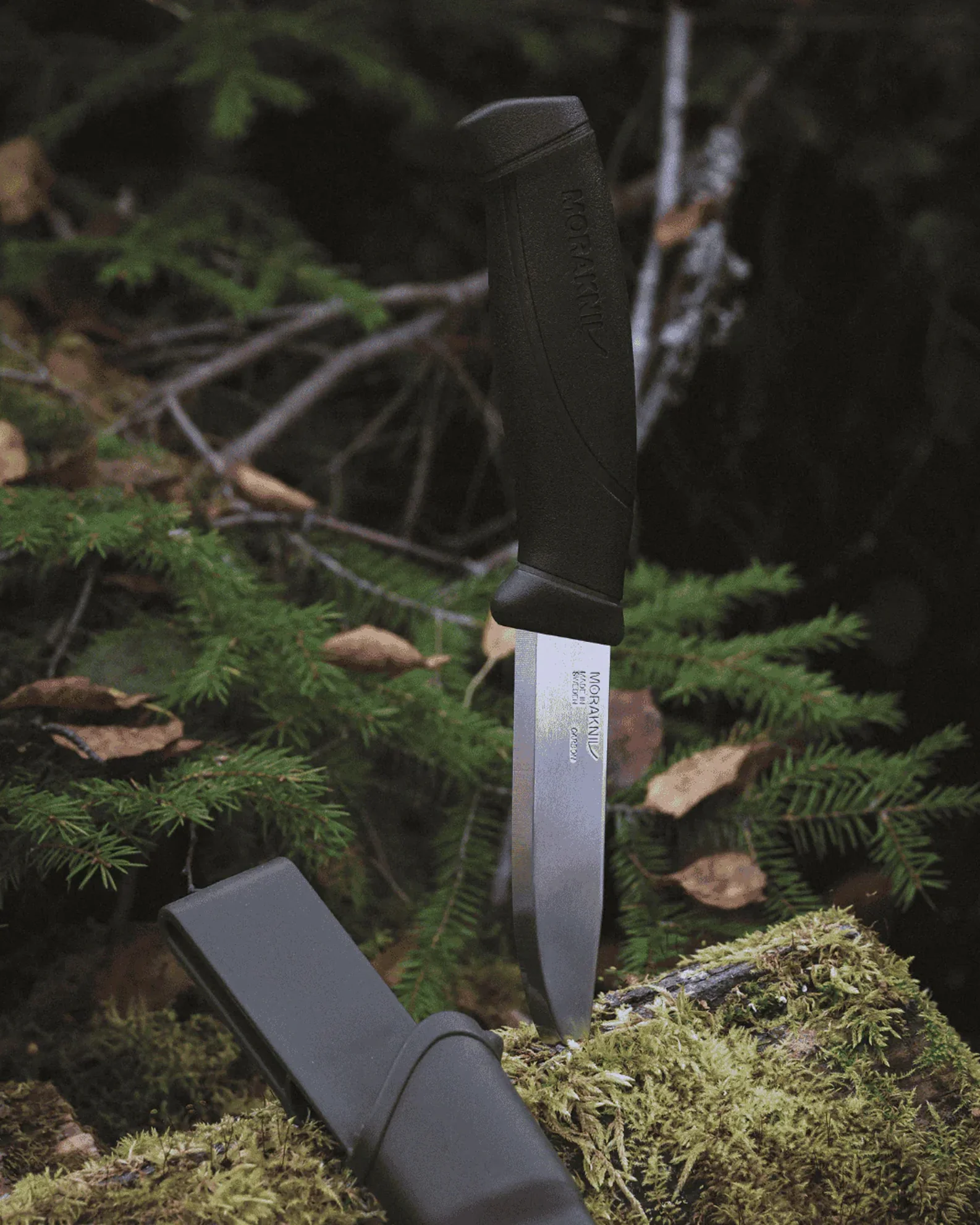 Mora Companion (C) - Image 2