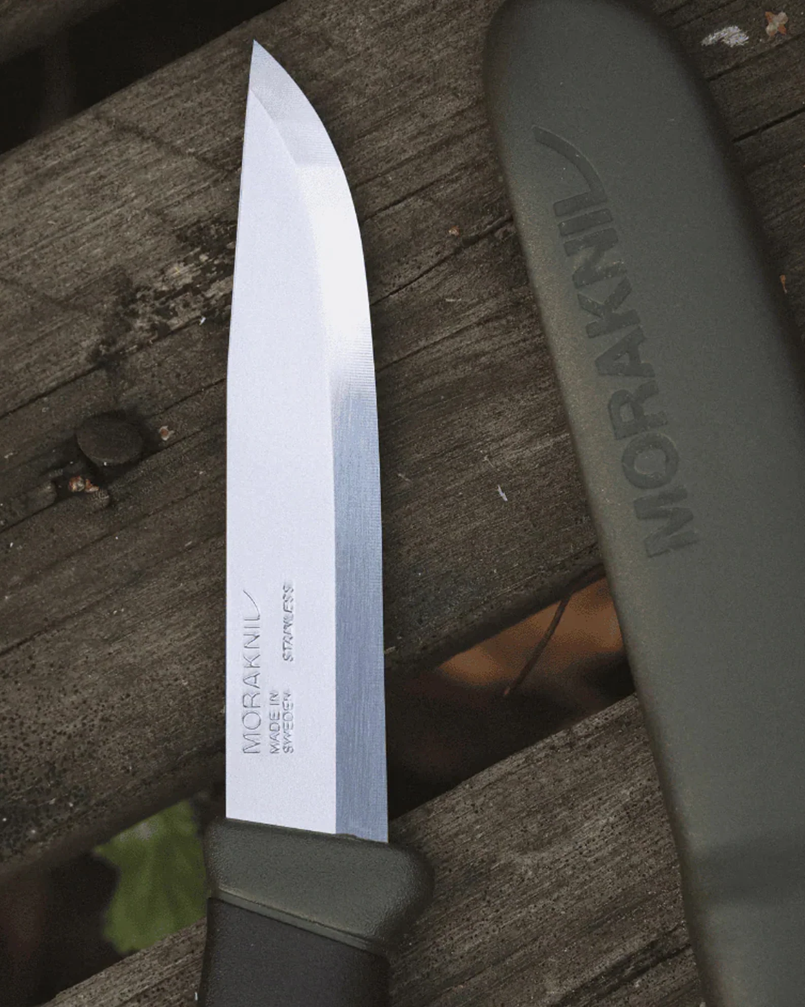 Mora Companion (C) - Image 4