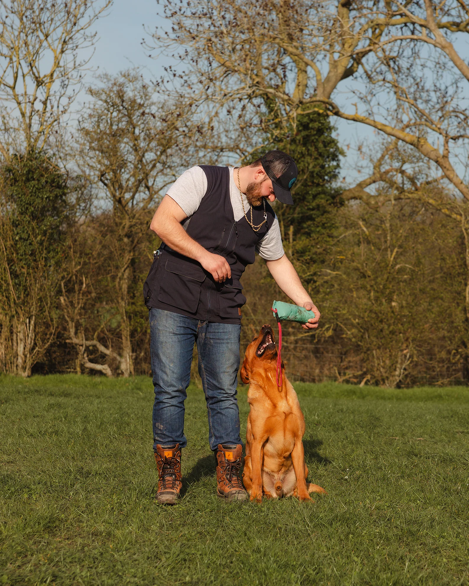 New Forest Dog Training Vest II - Image 9