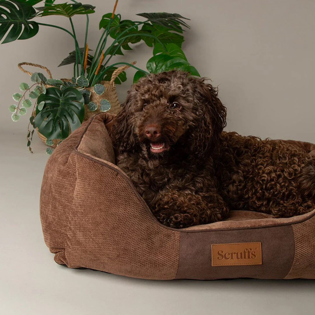 Scruffs Chester Box Bed - Image 3
