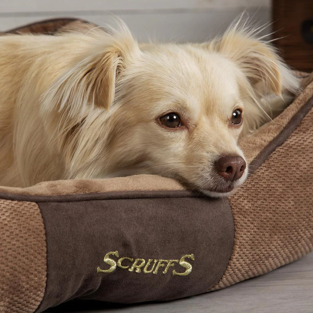 Scruffs Chester Box Bed - Image 7