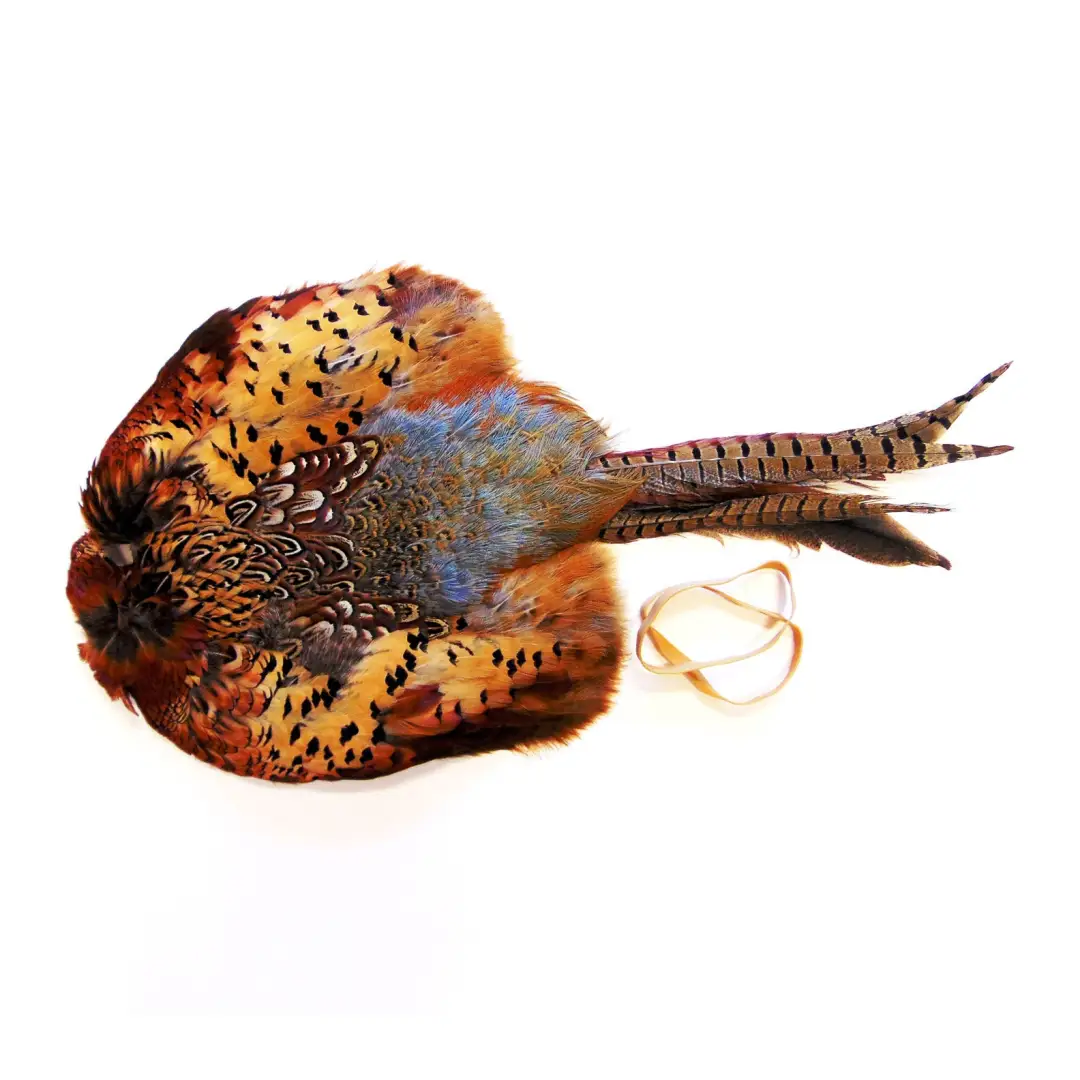 Sporting Saint Cock Pheasant Pelt Dummy